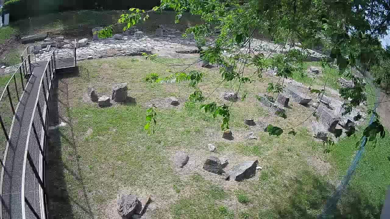 Aquileia – Decumano di Aratria Galla