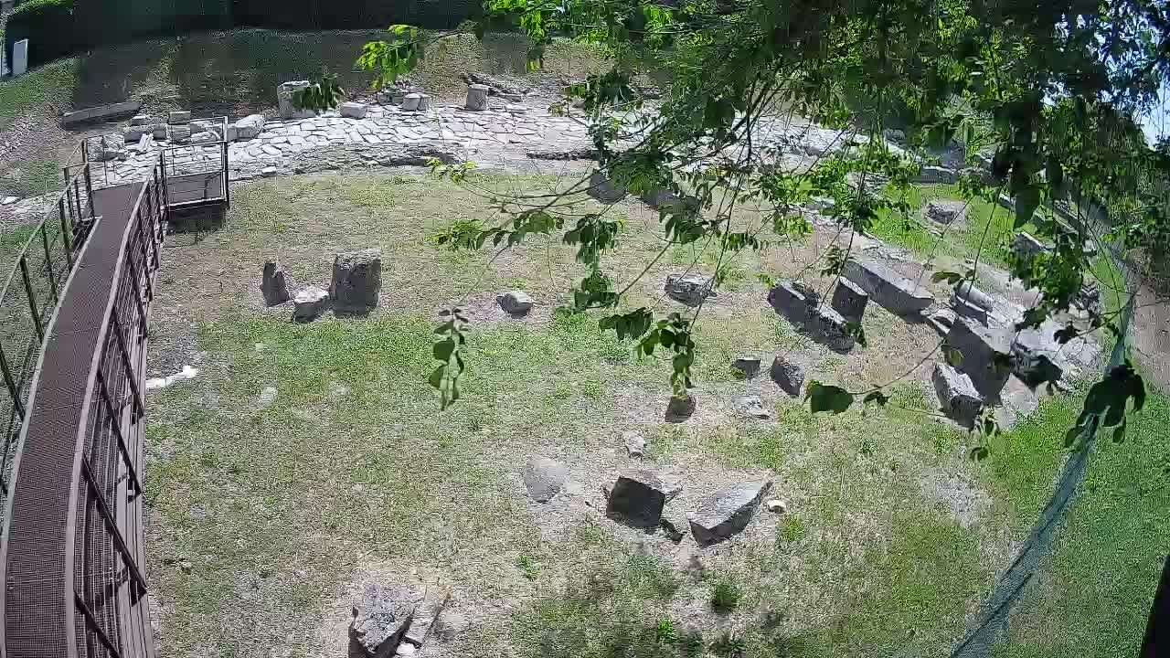 Aquileia – Decumano di Aratria Galla