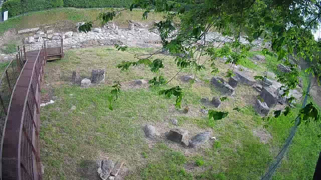 Aquileia – Decumano di Aratria Galla