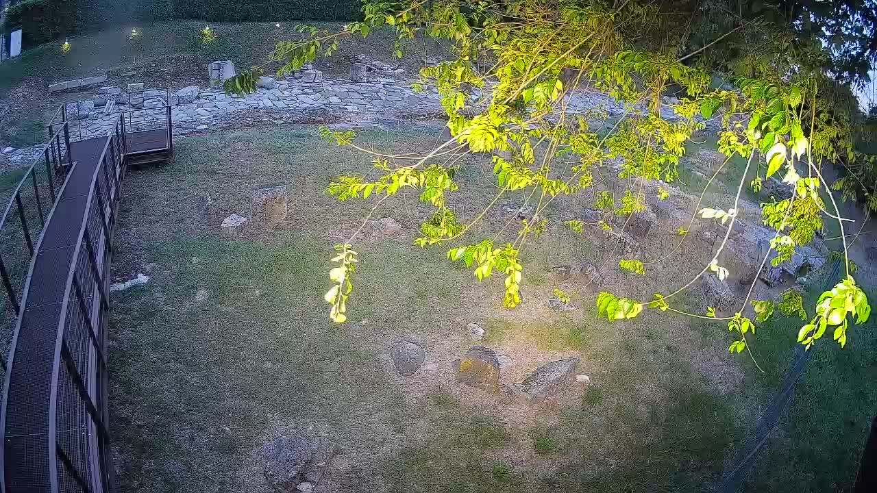 Aquileia – Decumano di Aratria Galla