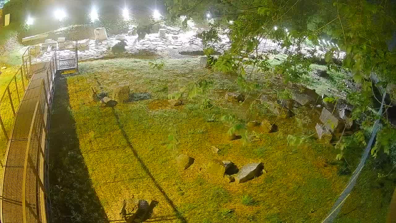 Oglej – Decumano Aratria Galla
