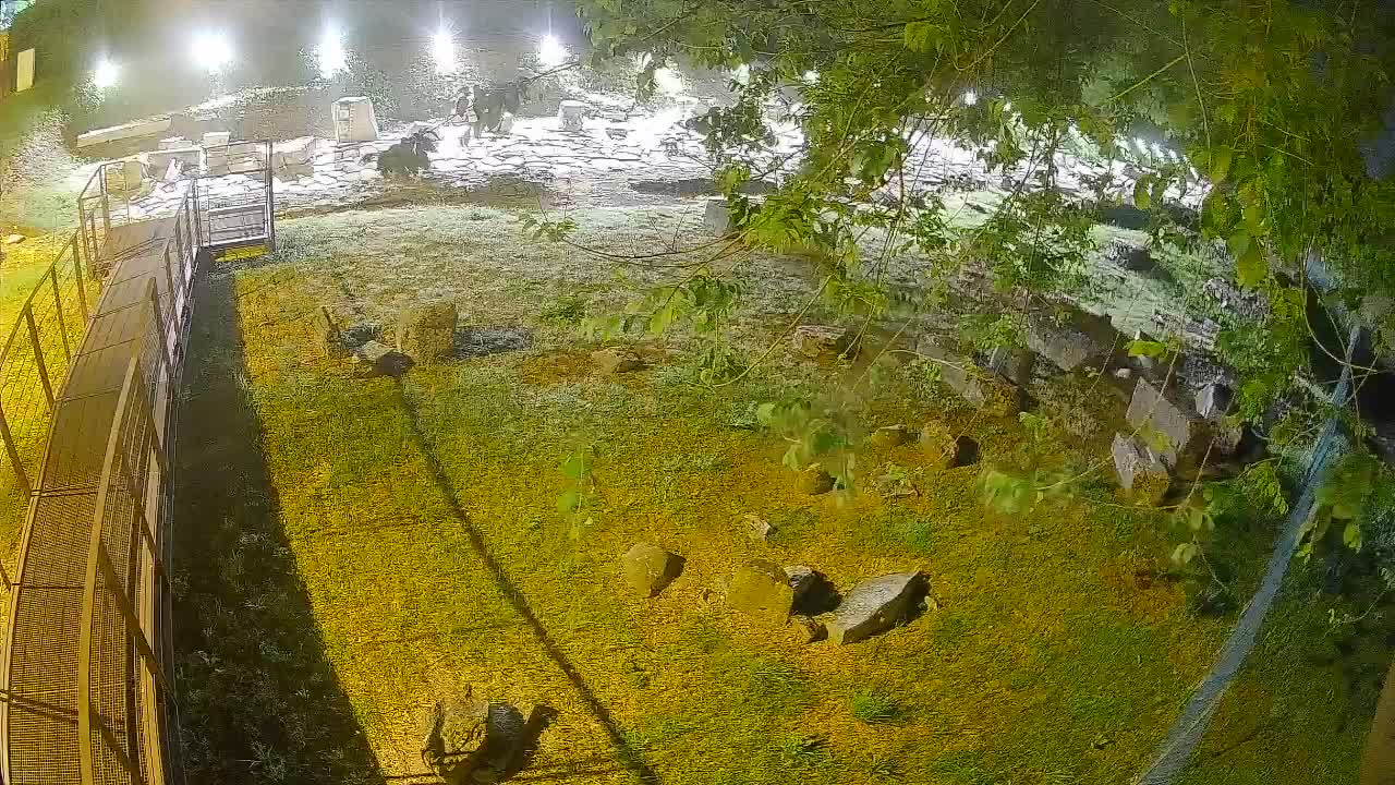 Aquileia – Decumano di Aratria Galla