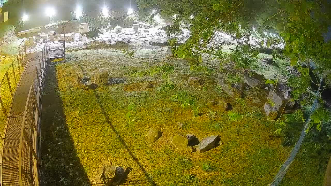 Aquileia – Decumano di Aratria Galla