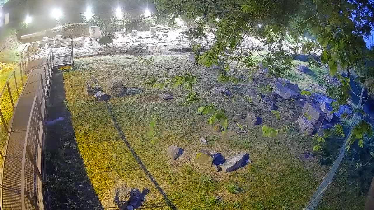 Aquileia – Decumano di Aratria Galla