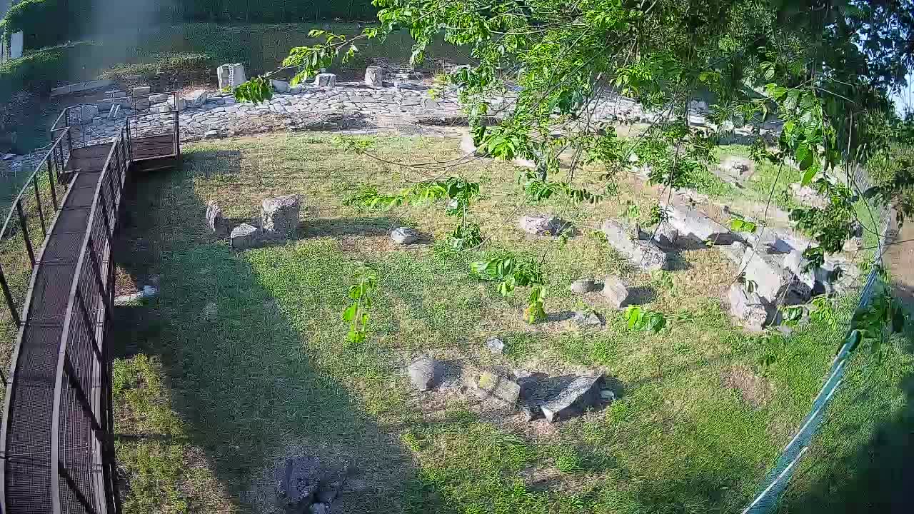 Aquileia – Decumano di Aratria Galla