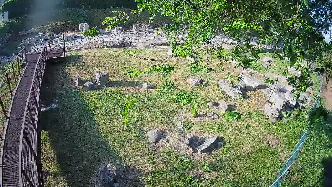 Akvileja – Decumano di Aratria Galla