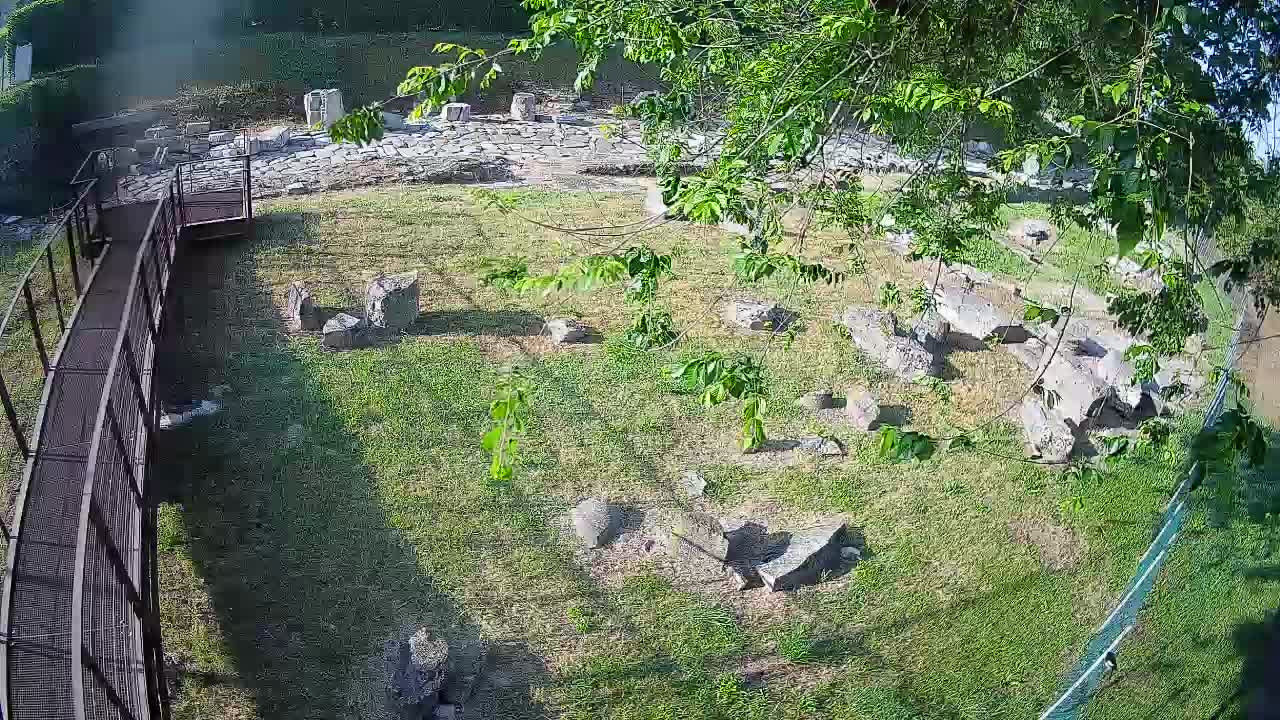 Aquileia – Decumano di Aratria Galla