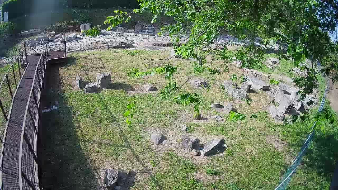Aquileia – Decumano di Aratria Galla