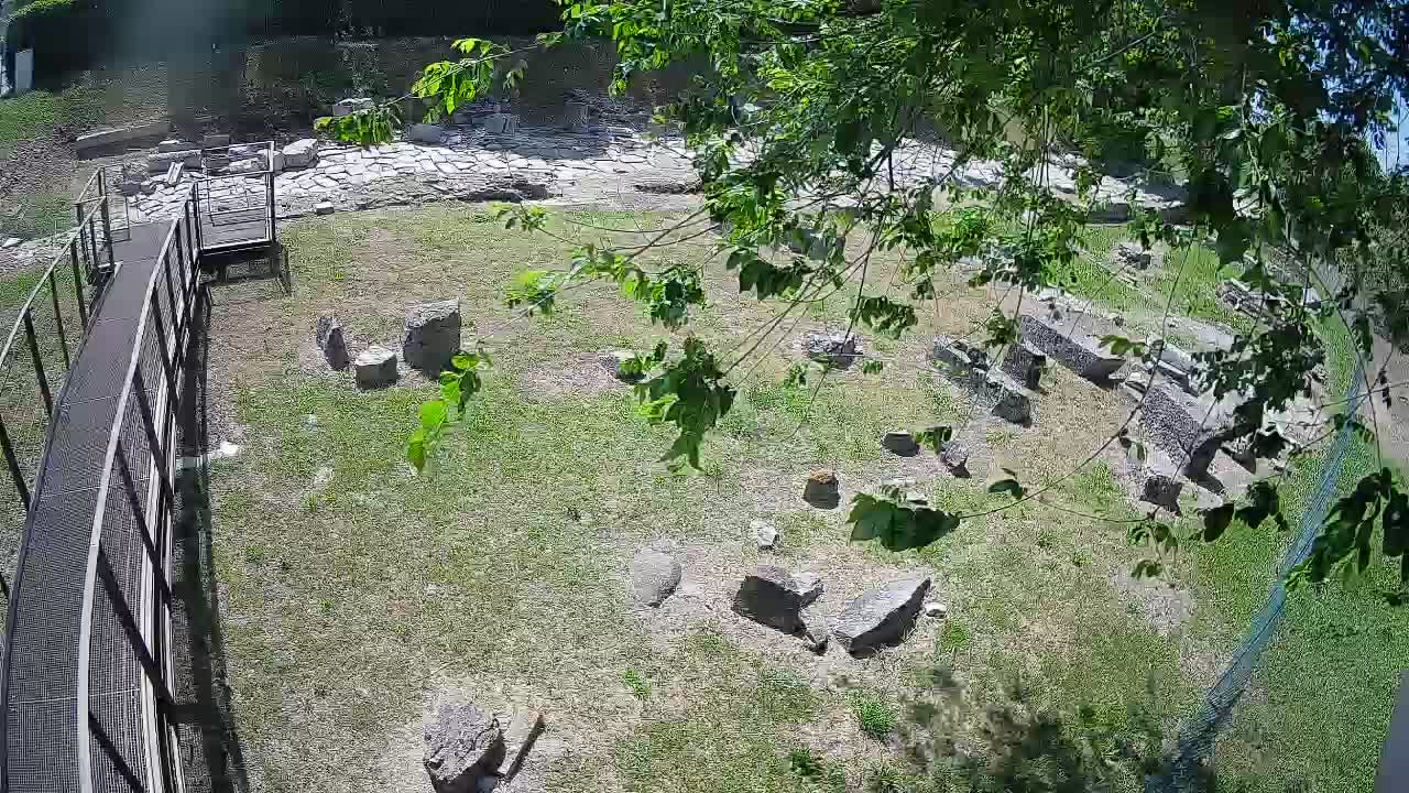 Aquileia – Decumano di Aratria Galla