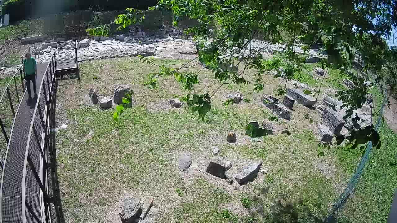 Aquileia – Decumano di Aratria Galla