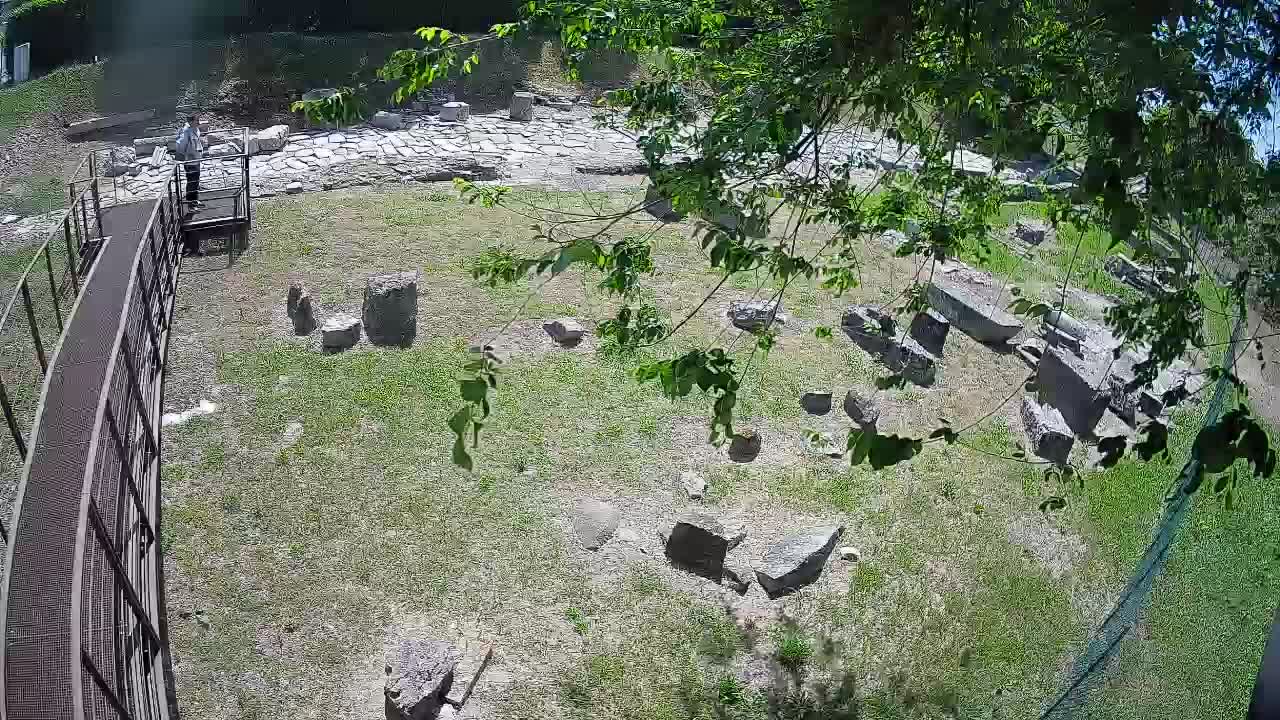 Akvileja – Decumano di Aratria Galla