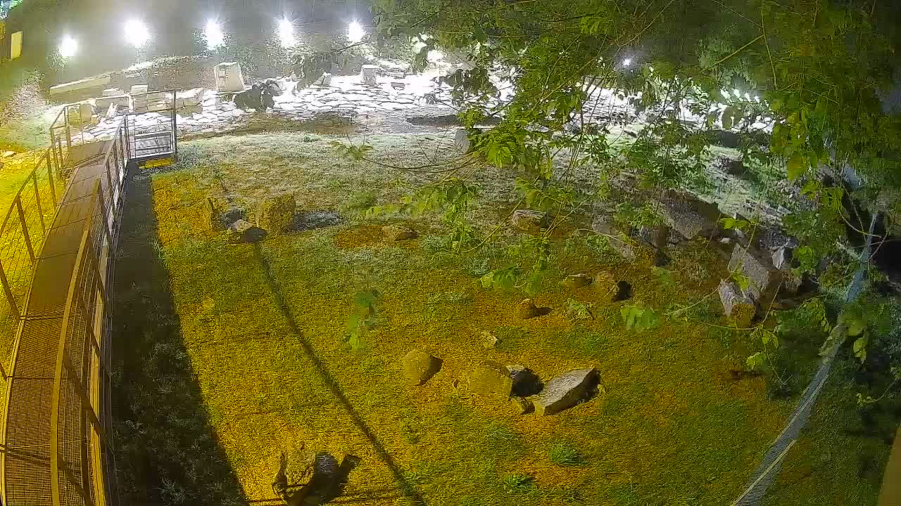 Aquileia – Decumano di Aratria Galla