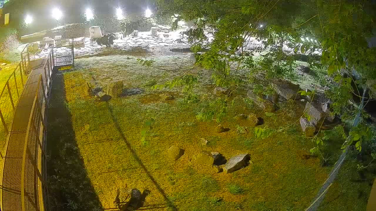 Aquileia – Decumano di Aratria Galla