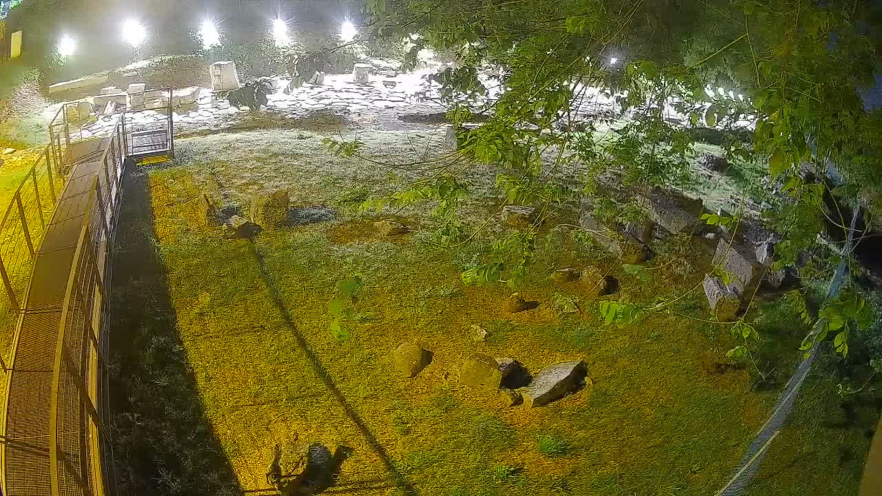 Aquileia – Decumano di Aratria Galla
