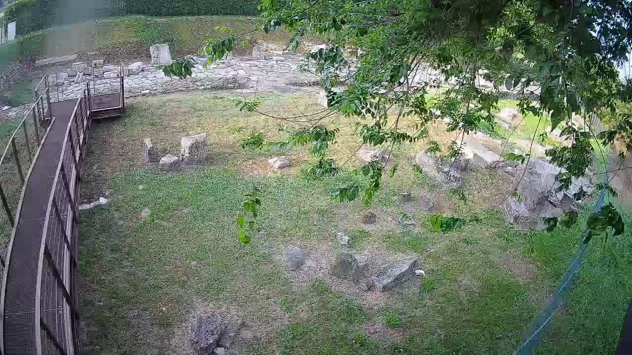 Aquileia – Decumano di Aratria Galla