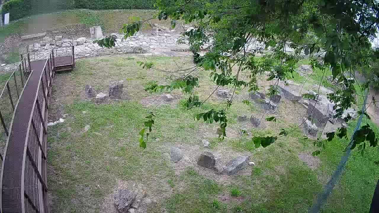 Akvileja – Decumano di Aratria Galla