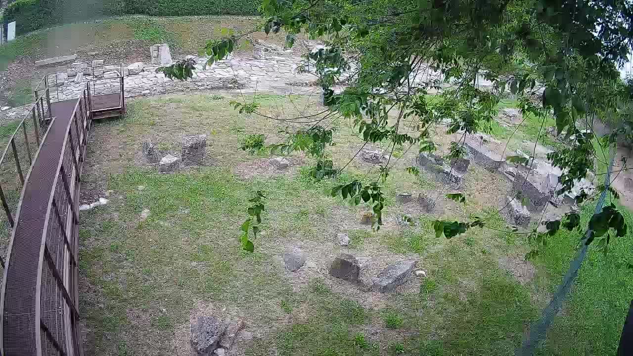 Aquileia – Decumano di Aratria Galla