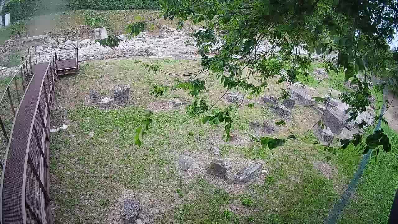 Akvileja – Decumano di Aratria Galla