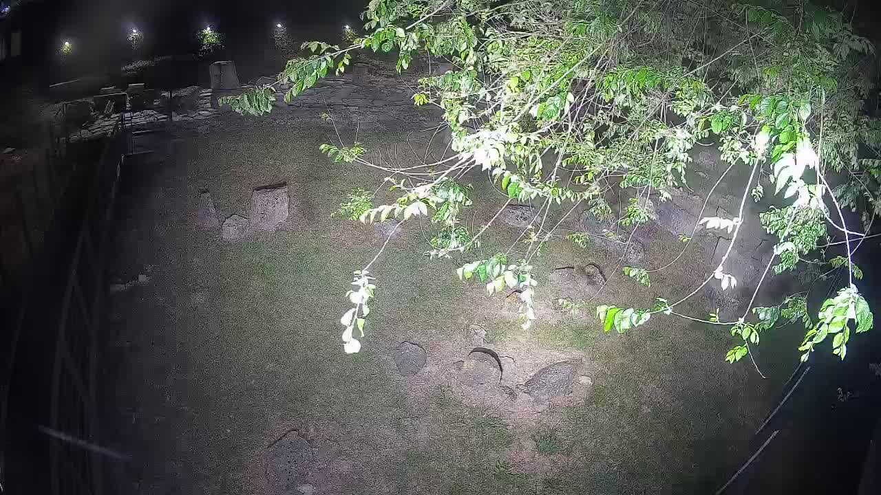 Akvileja – Decumano di Aratria Galla