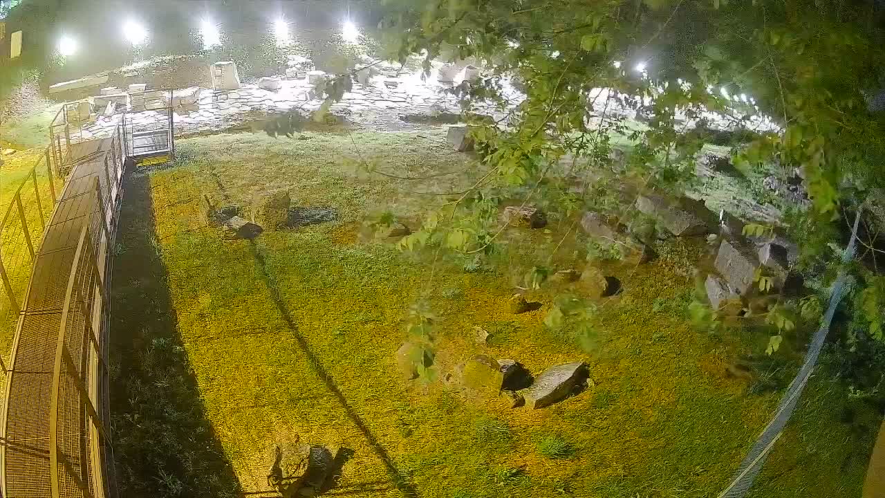 Aquileia – Decumano di Aratria Galla