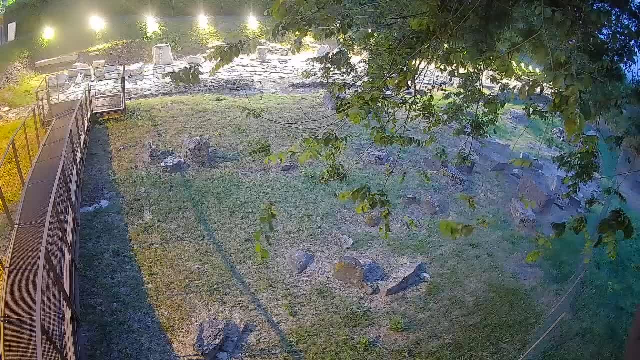Aquileia – Decumano di Aratria Galla
