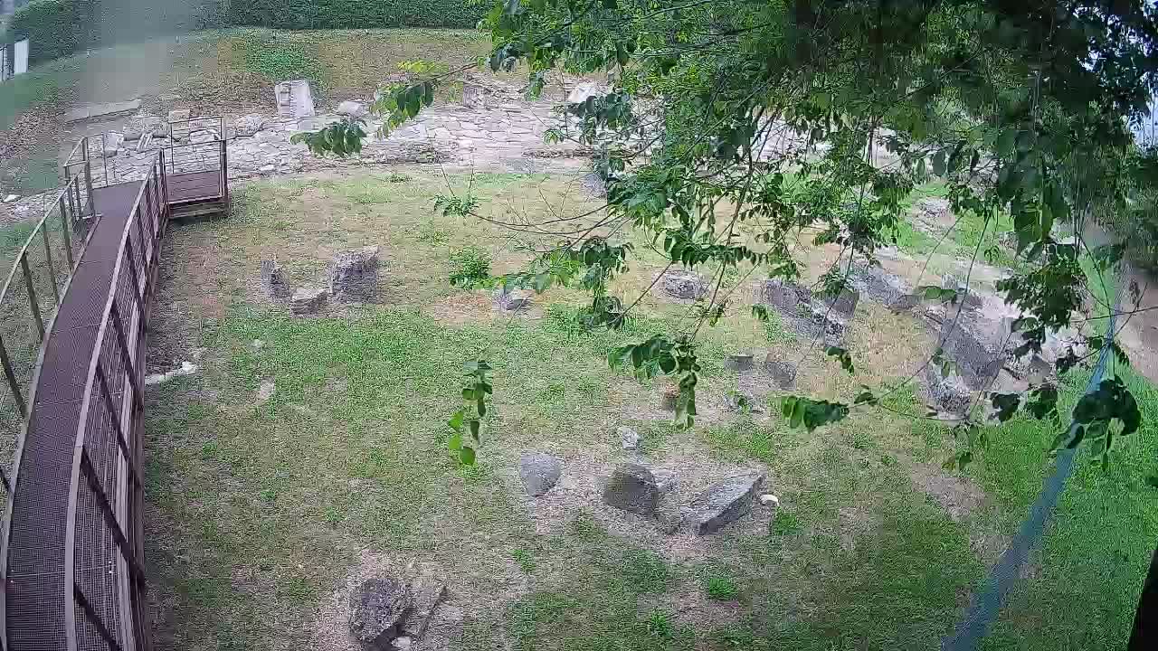 Akvileja – Decumano di Aratria Galla