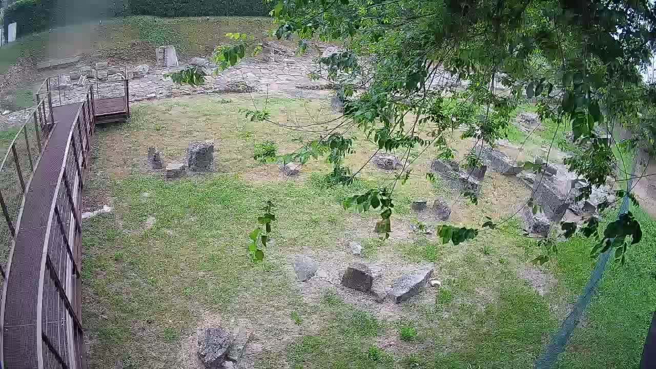 Akvileja – Decumano di Aratria Galla