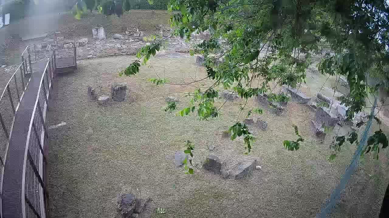 Aquileia – Decumano di Aratria Galla