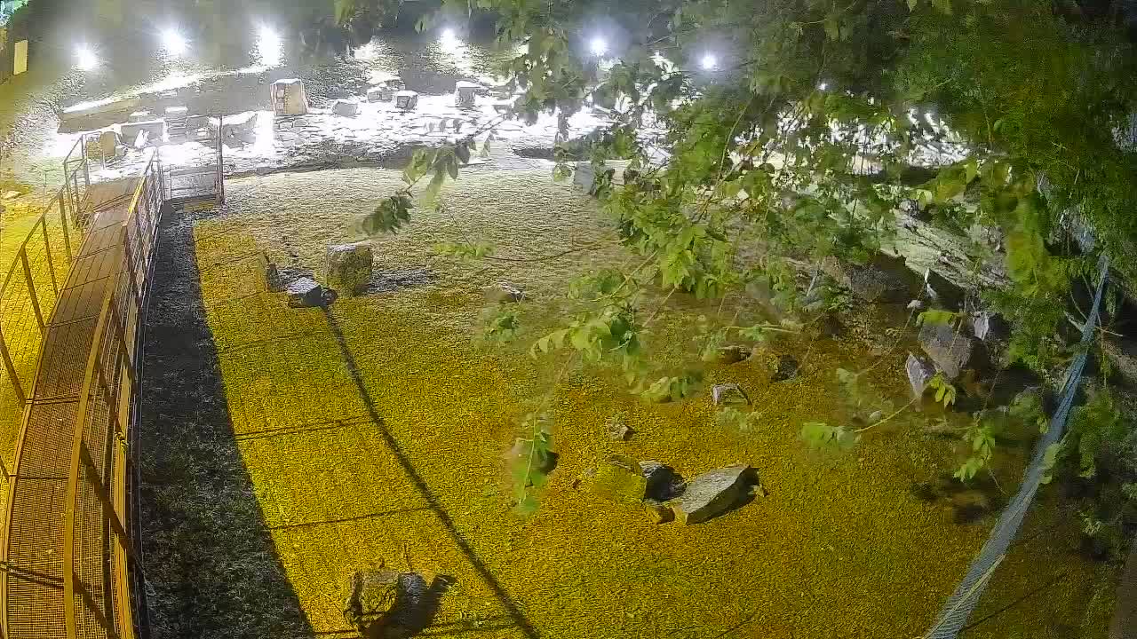 Aquileia – Decumano di Aratria Galla