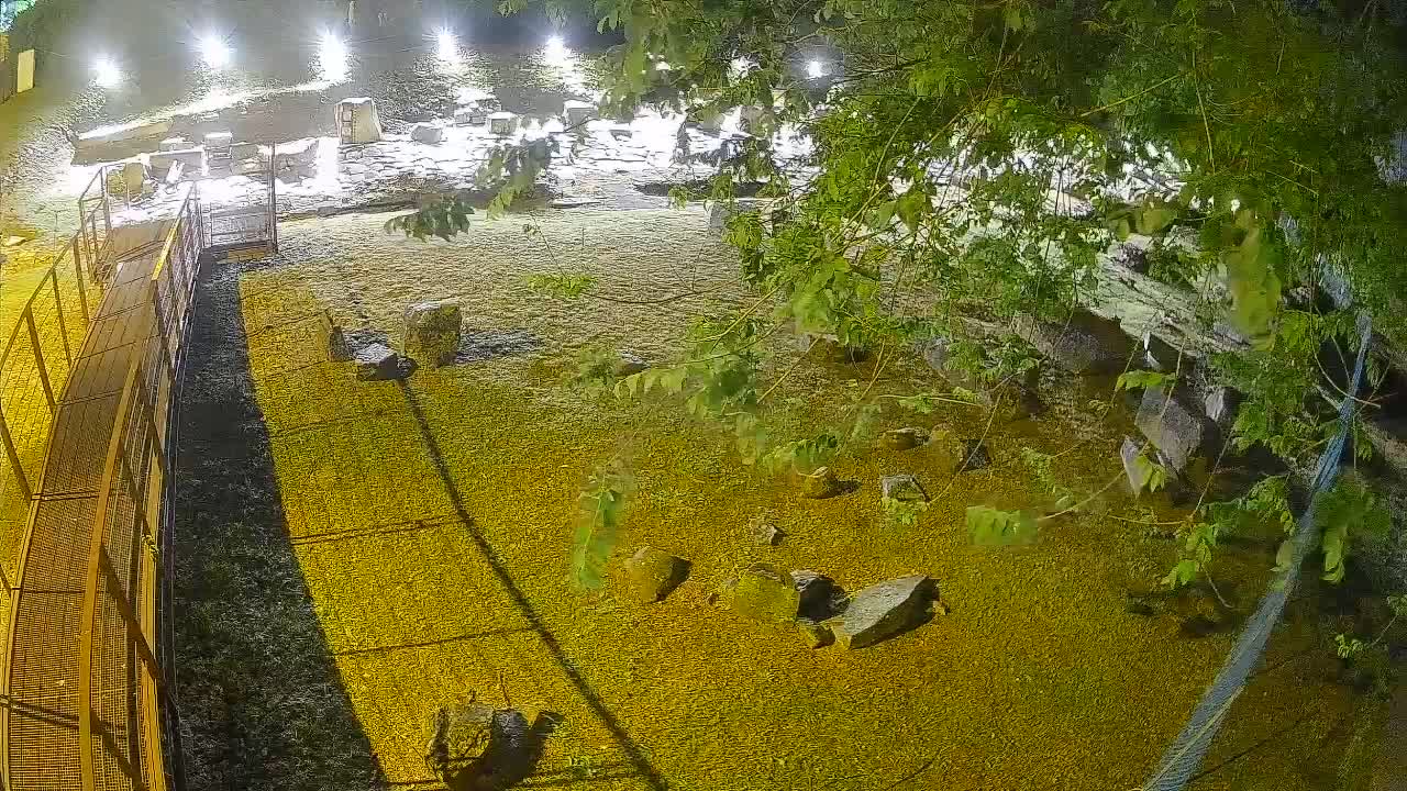 Aquileia – Decumano di Aratria Galla