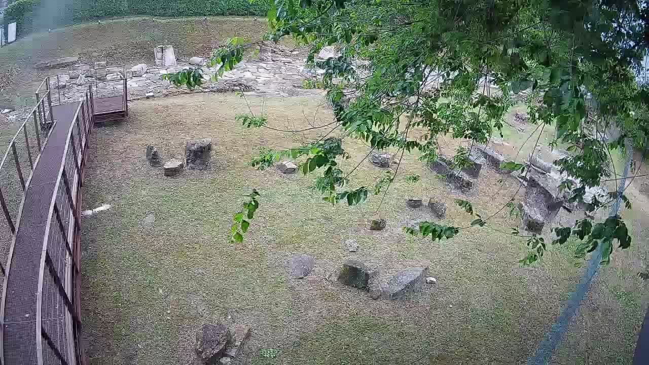 Aquileia – Decumano di Aratria Galla