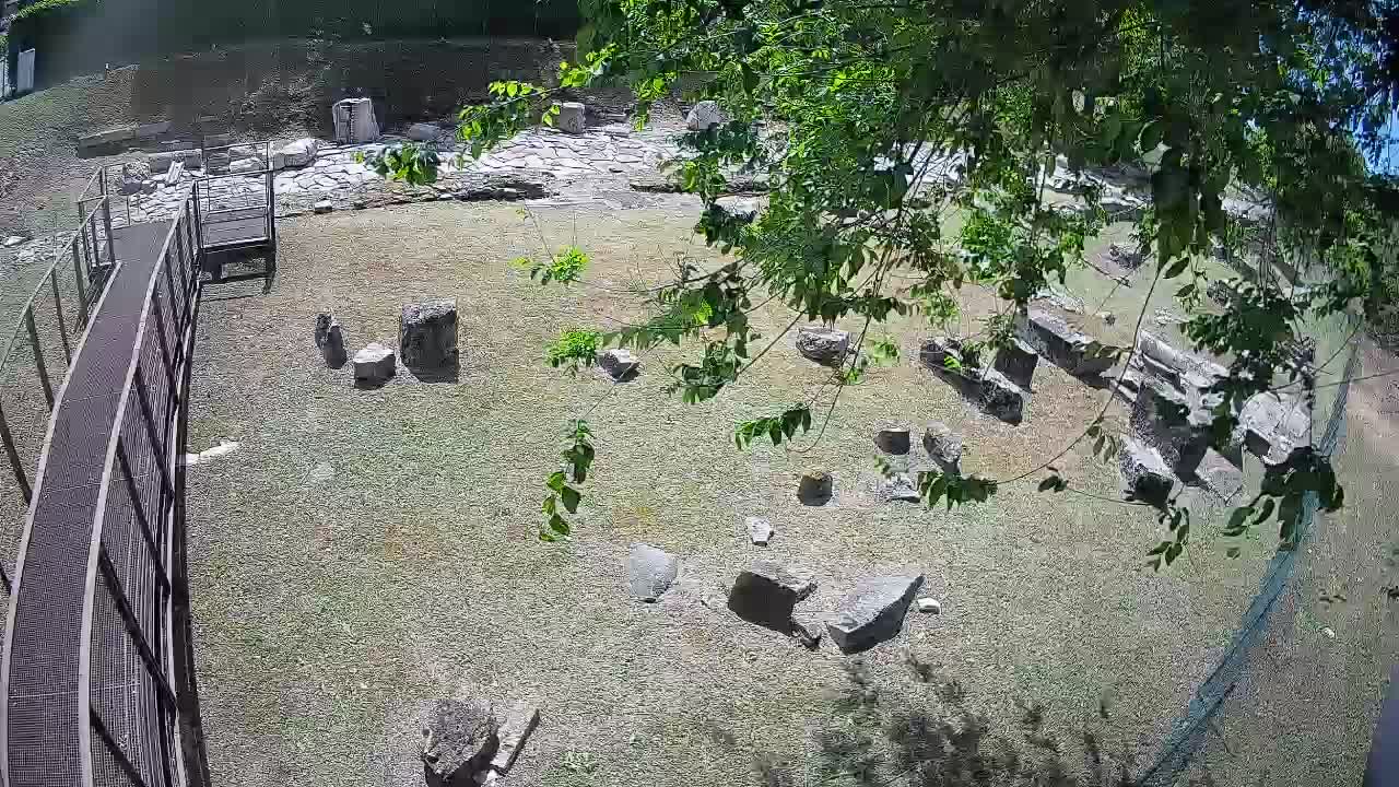 Aquileia – Decumano di Aratria Galla