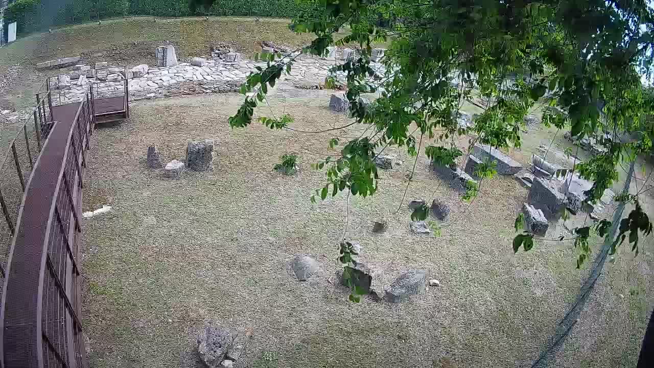 Aquileia – Decumano di Aratria Galla