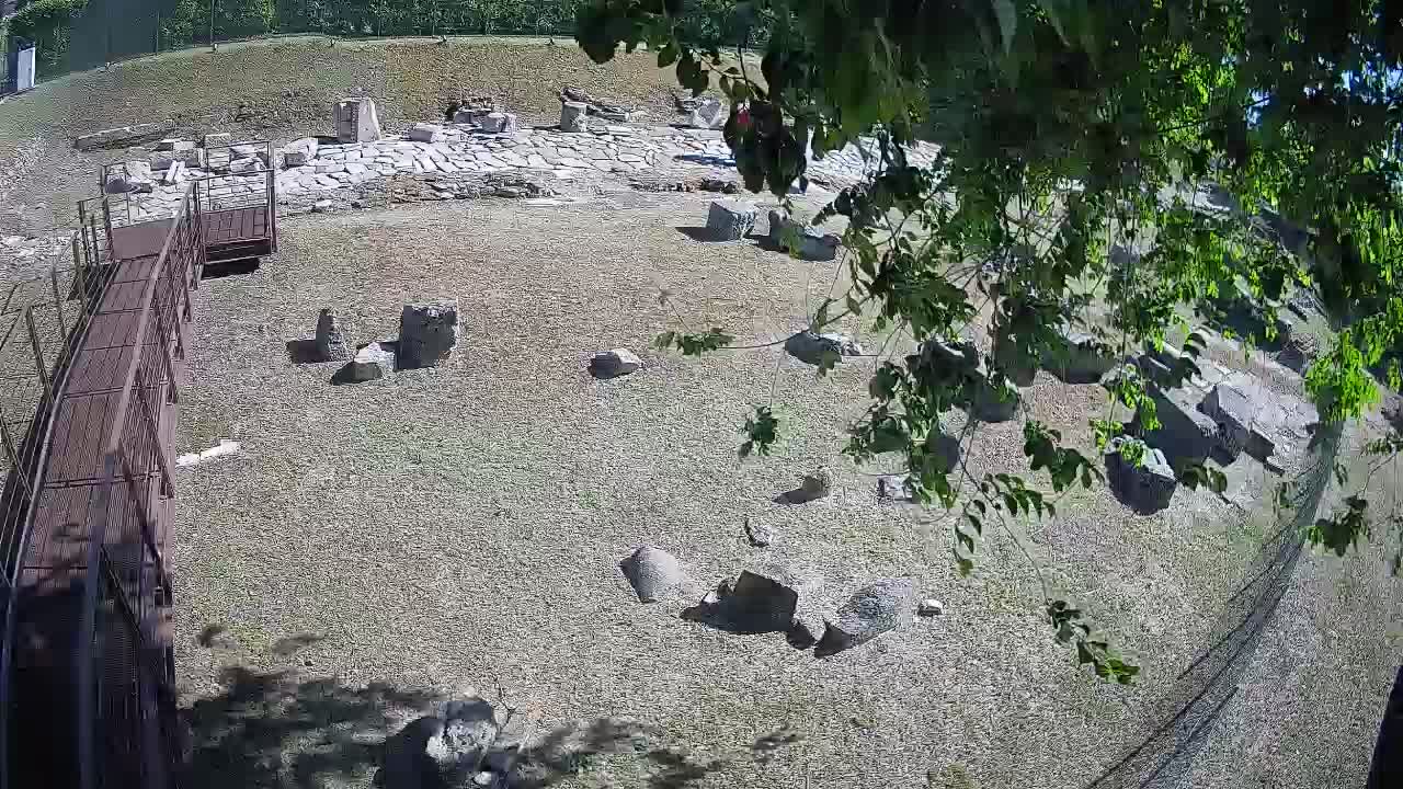 Aquileia – Decumano di Aratria Galla