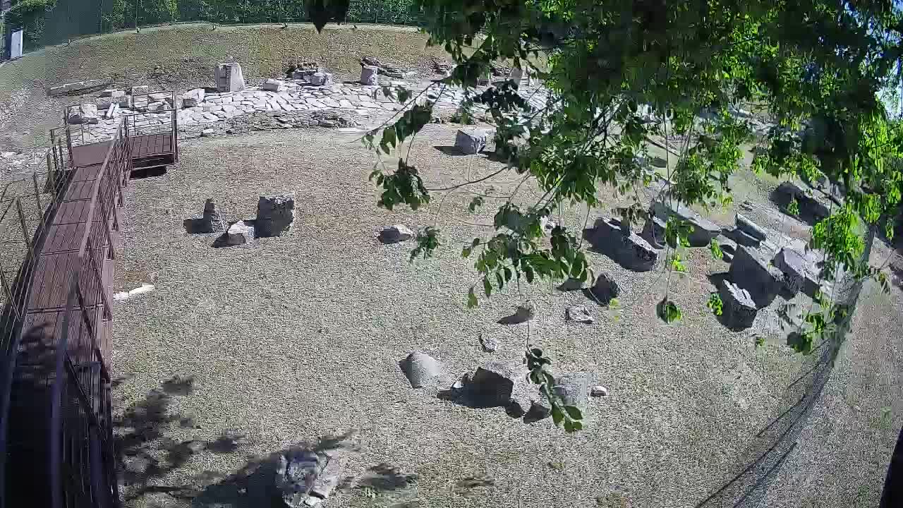 Aquileia – Decumano di Aratria Galla