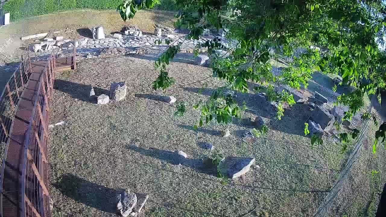 Aquileia – Decumano di Aratria Galla