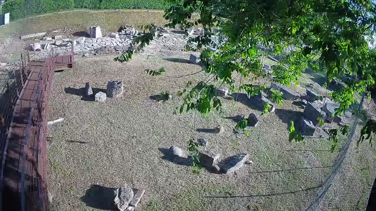 Oglej – Decumano Aratria Galla