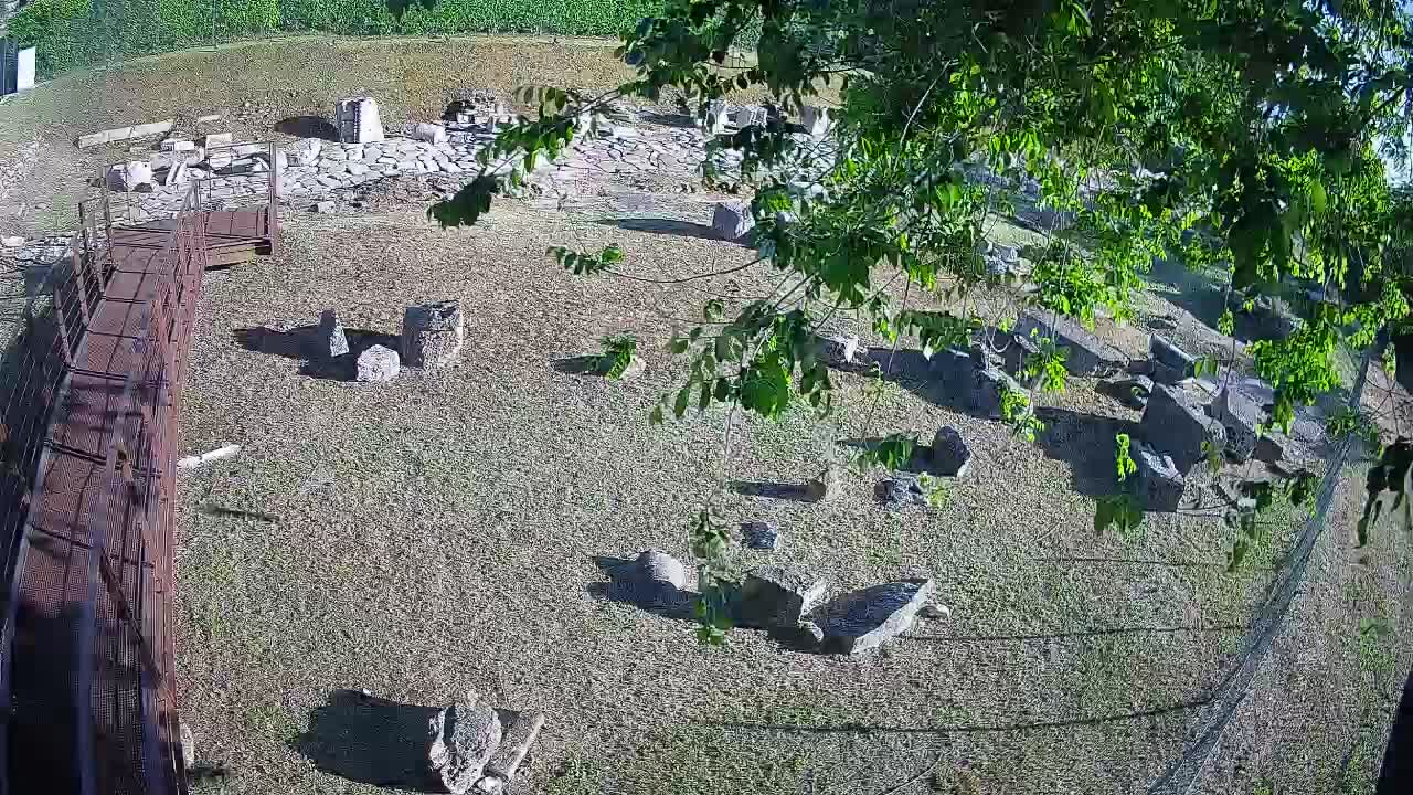 Aquileia – Decumano di Aratria Galla