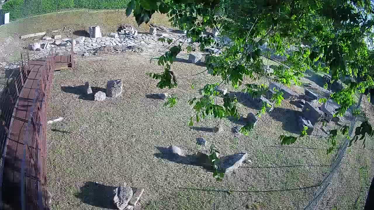 Aquileia – Decumano di Aratria Galla