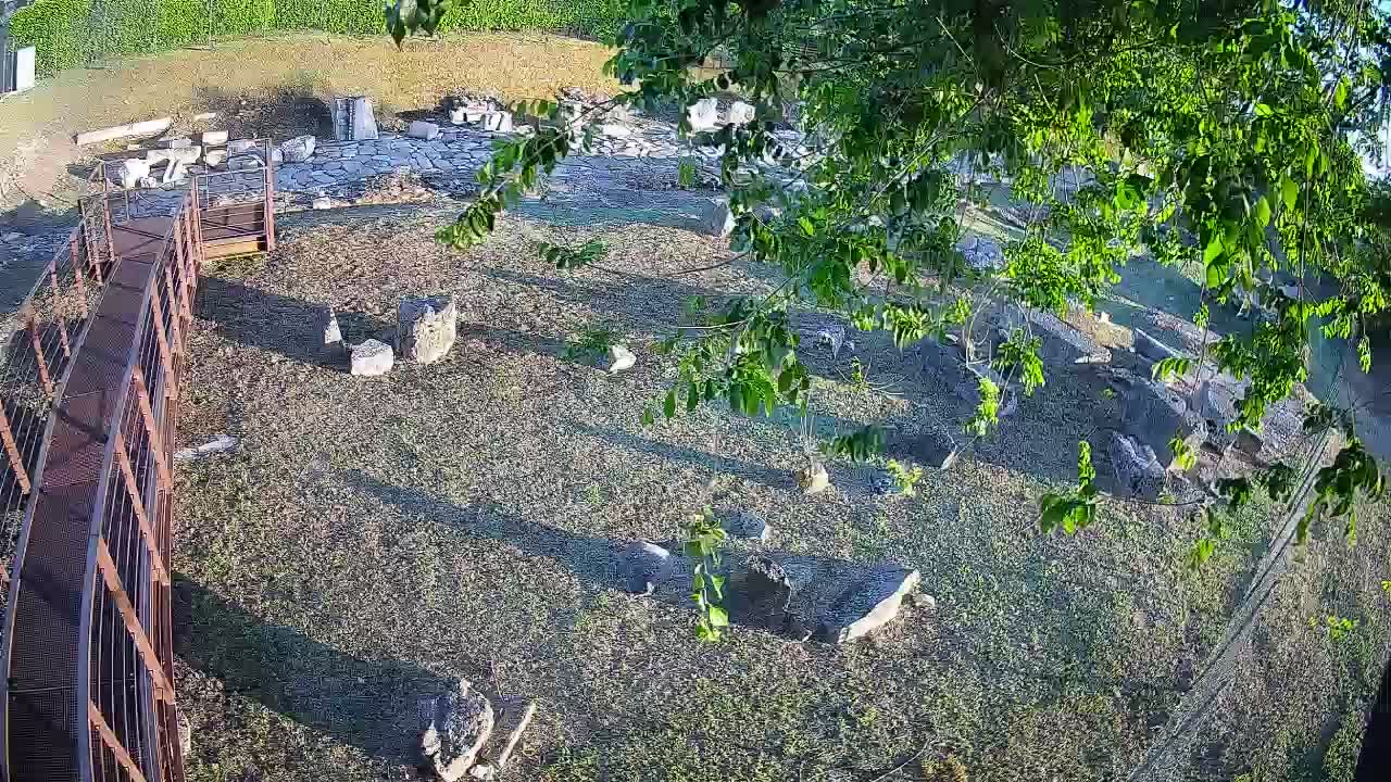 Aquileia – Decumano di Aratria Galla