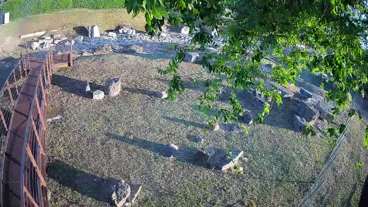 Aquileia – Decumano di Aratria Galla