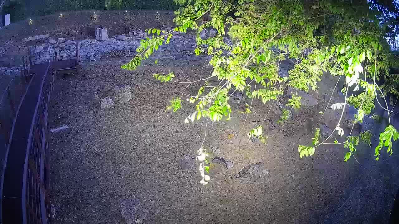 Aquileia – Decumano di Aratria Galla
