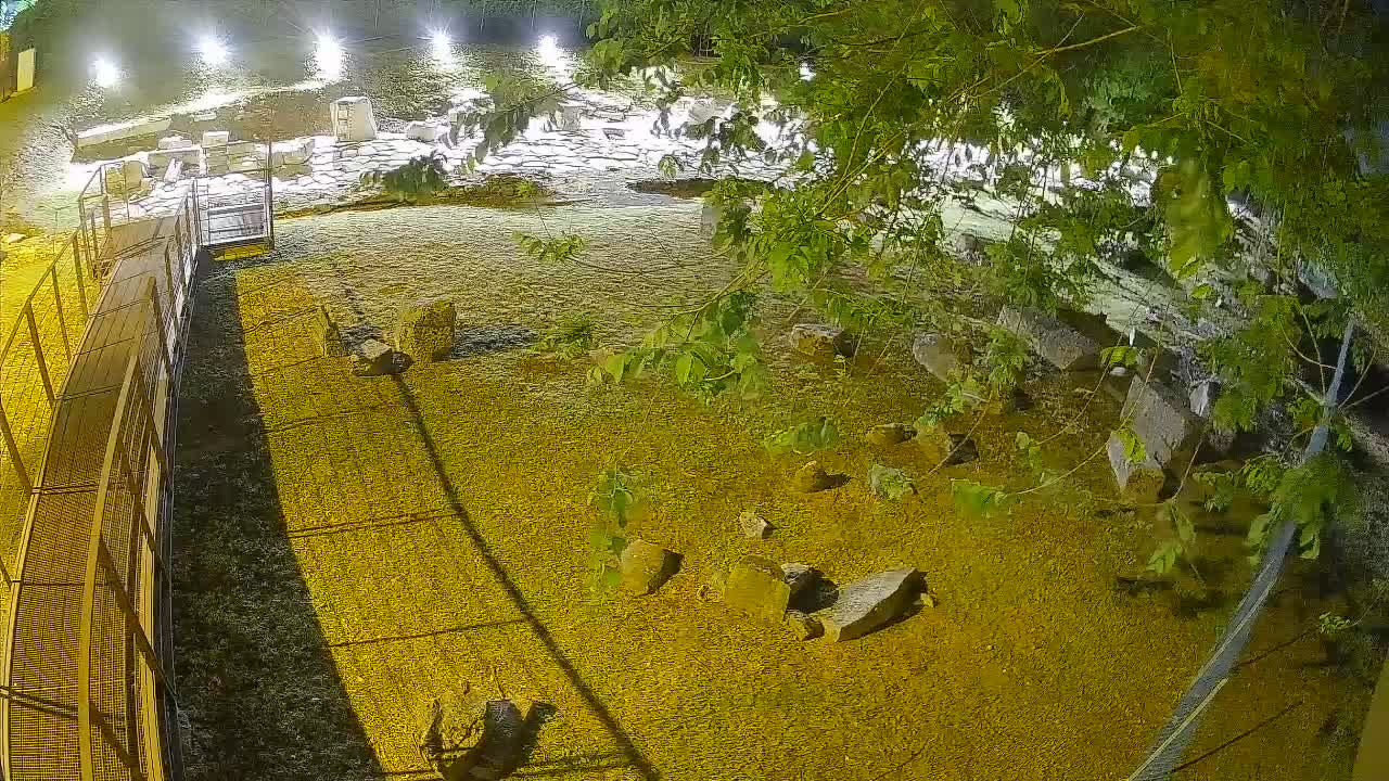 Aquileia – Decumano di Aratria Galla