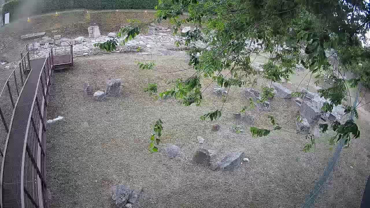 Aquileia – Decumano di Aratria Galla