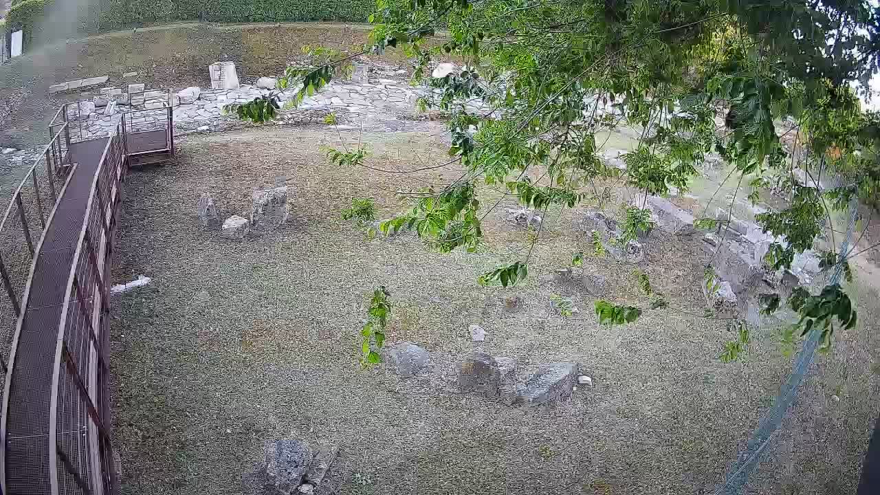 Aquileia – Decumano di Aratria Galla
