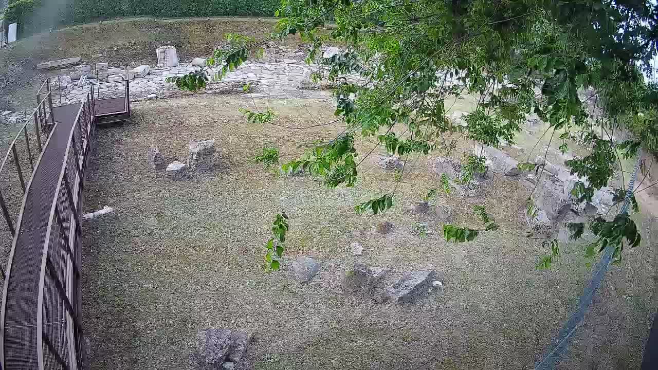 Aquileia – Decumano di Aratria Galla