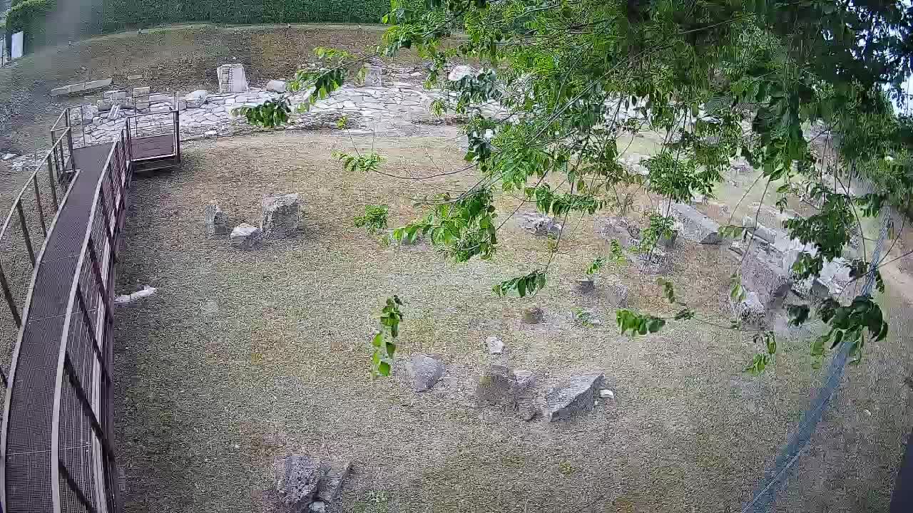 Aquileia – Decumano di Aratria Galla