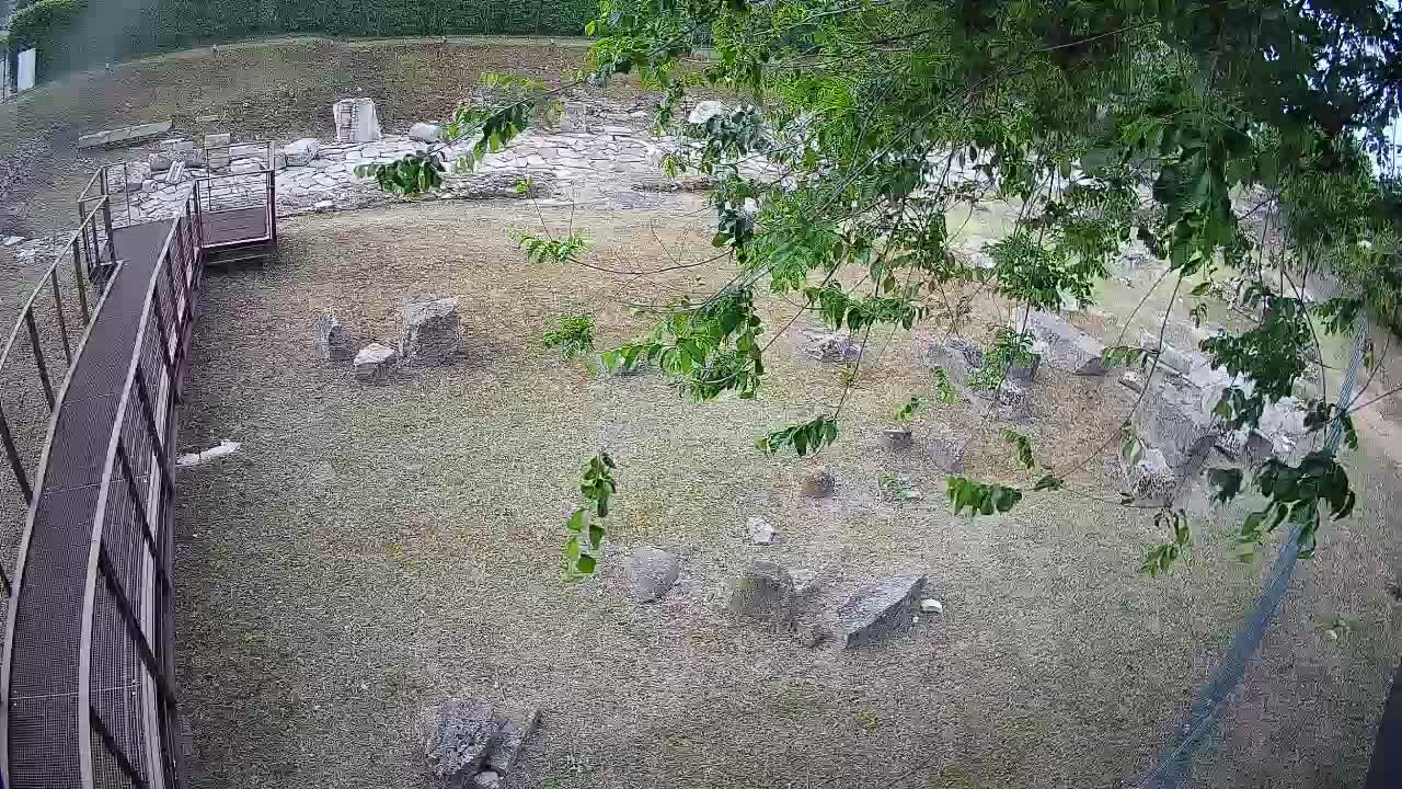 Aquileia – Decumano di Aratria Galla