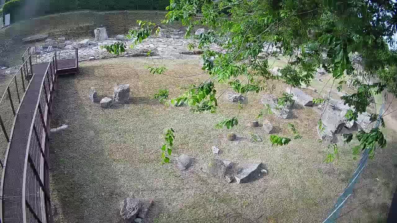 Aquileia – Decumano di Aratria Galla