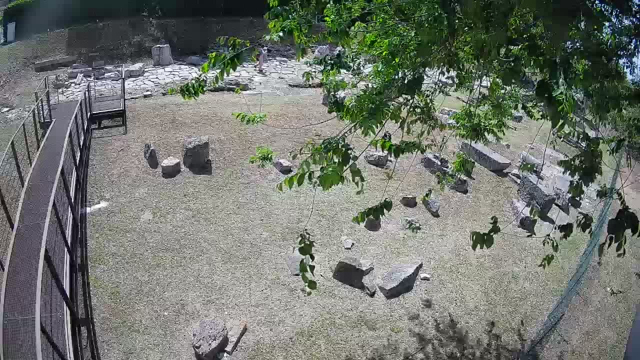 Aquileia – Decumano di Aratria Galla